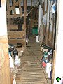 thn_NZ leden-unor 2006 035.jpg